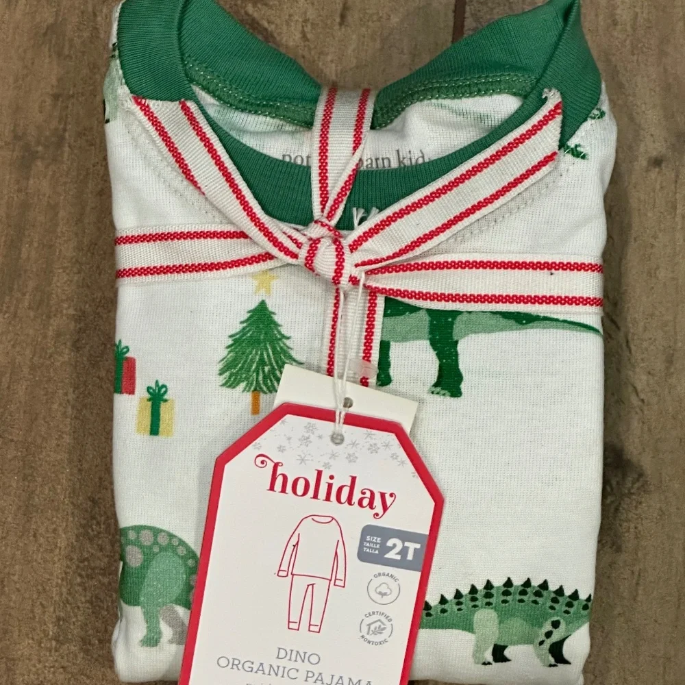 Christmas Dino Organic Cotton Pajama Set - PBK
